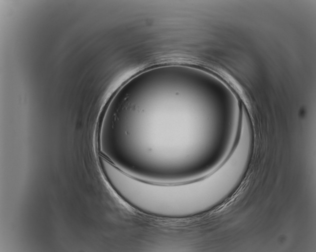 X0000095951293200801181414