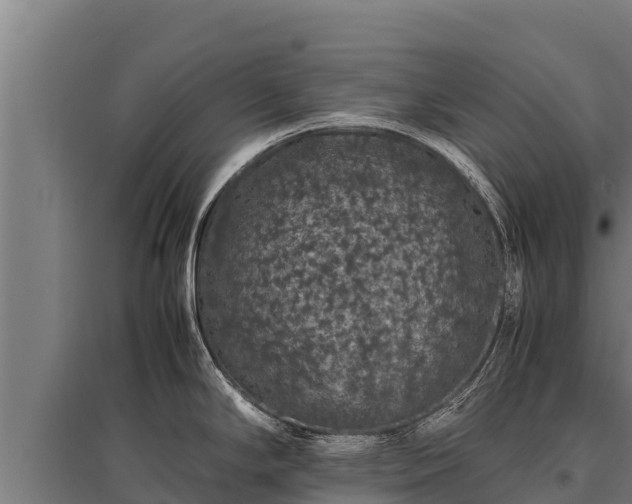 X0000095951294200801181414