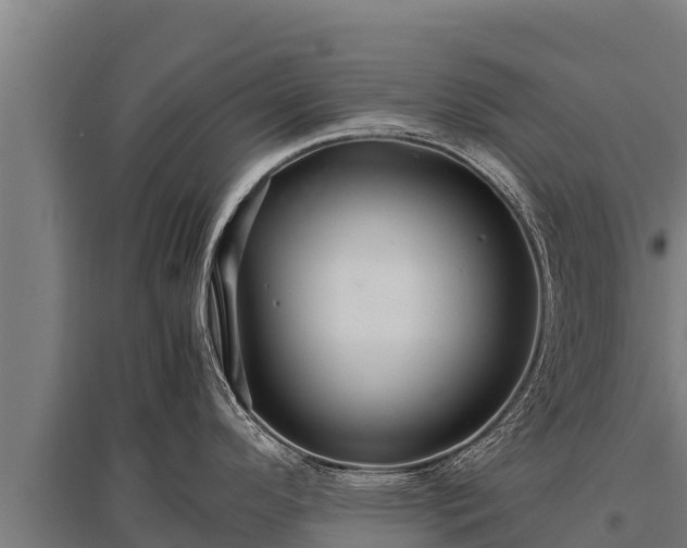 X0000095951296200801181414