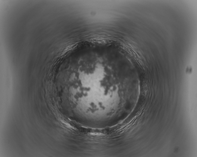 X0000095951297200801181414
