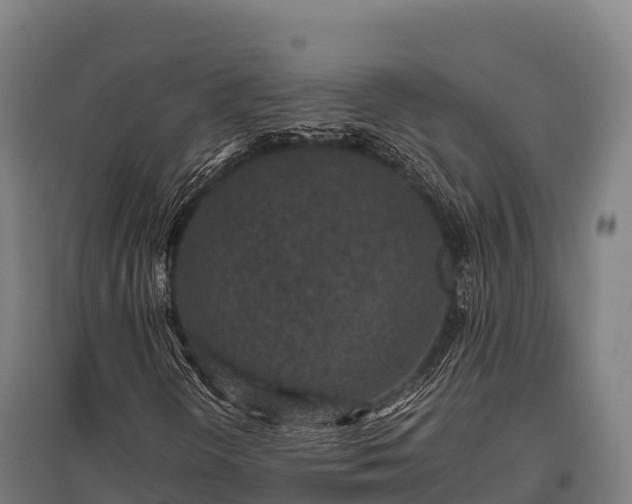 X0000095951298200801181414