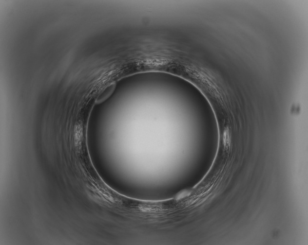 X0000095951299200801181414