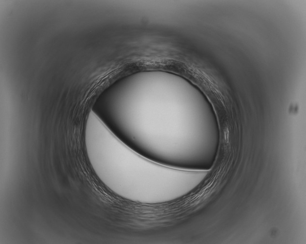 X0000095951300200801181414