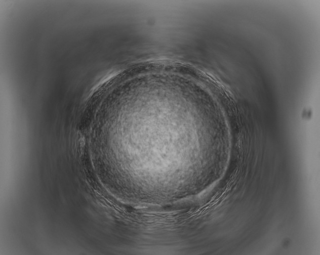 X0000095951302200801181414