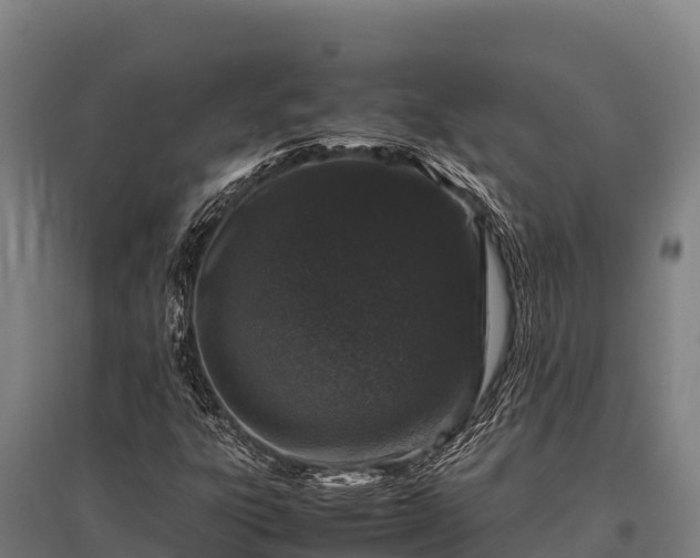 X0000095951303200801181414