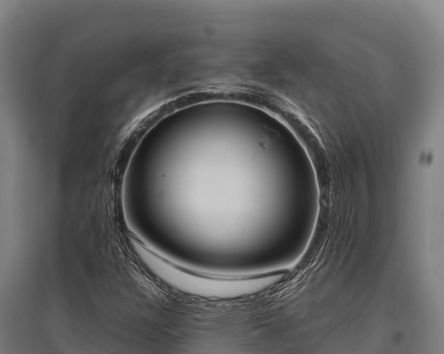 X0000095951304200801181414