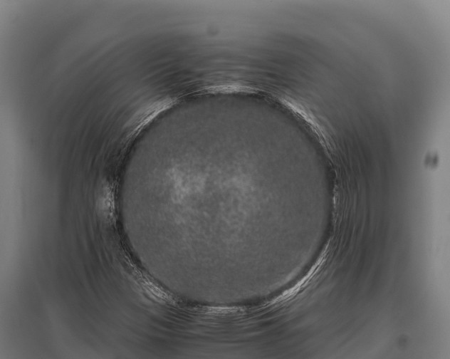 X0000095951305200801181414