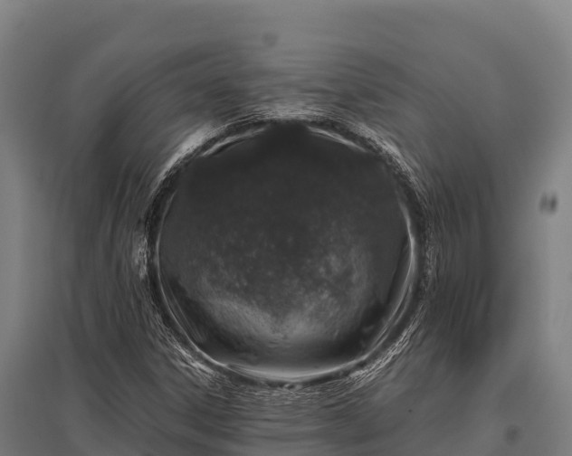 X0000095951306200801181414
