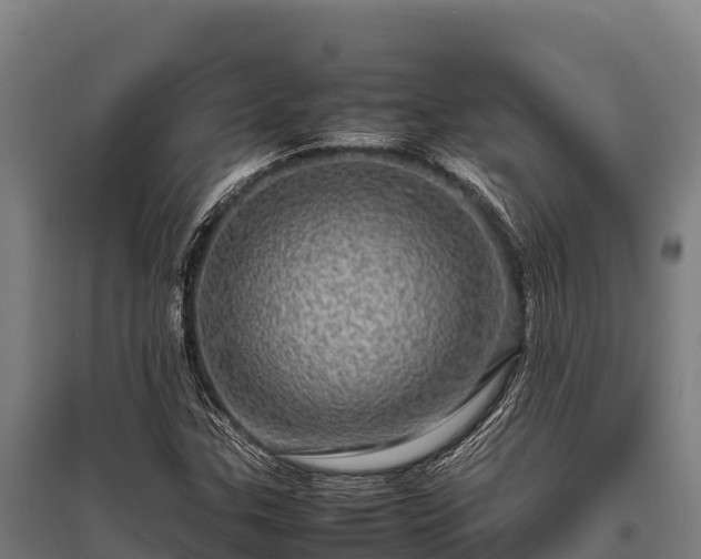 X0000095951307200801181414
