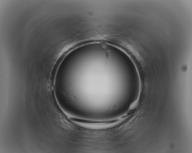 X0000095951308200801181414