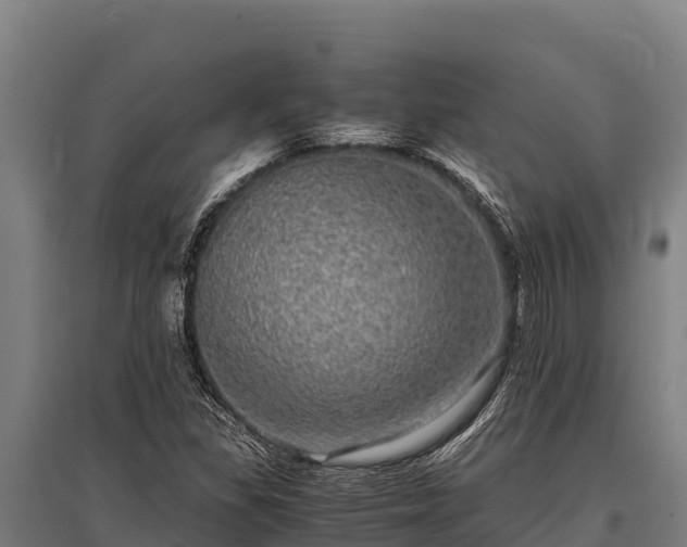 X0000095951309200801181414