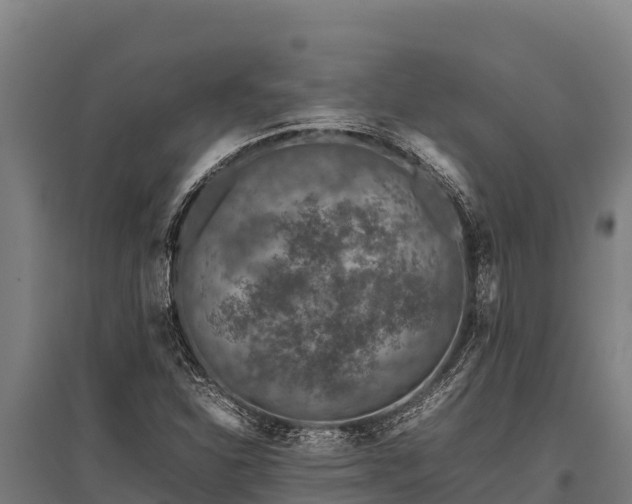 X0000095951310200801181414