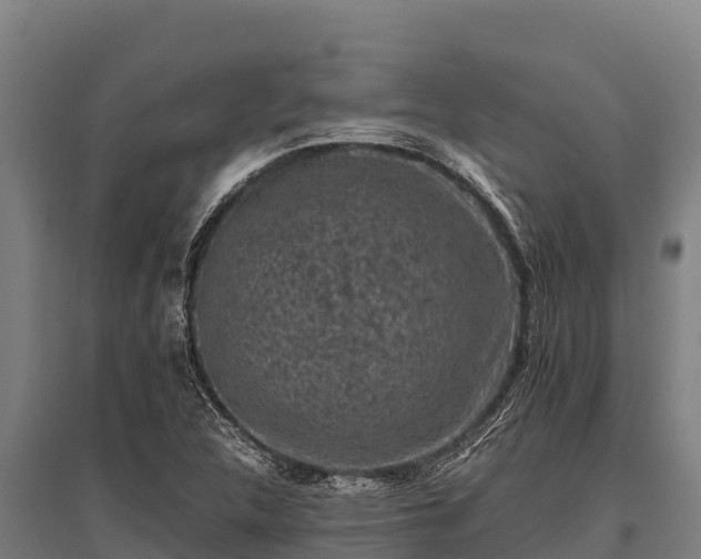 X0000095951312200801181414
