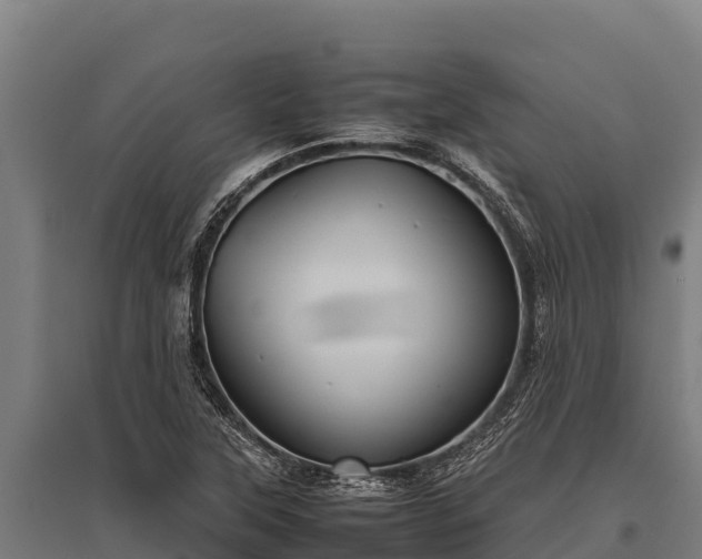 X0000095951315200801181414