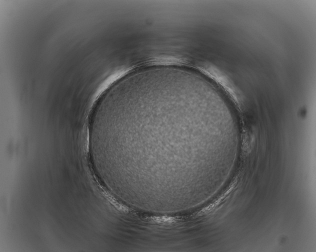 X0000095951317200801181414