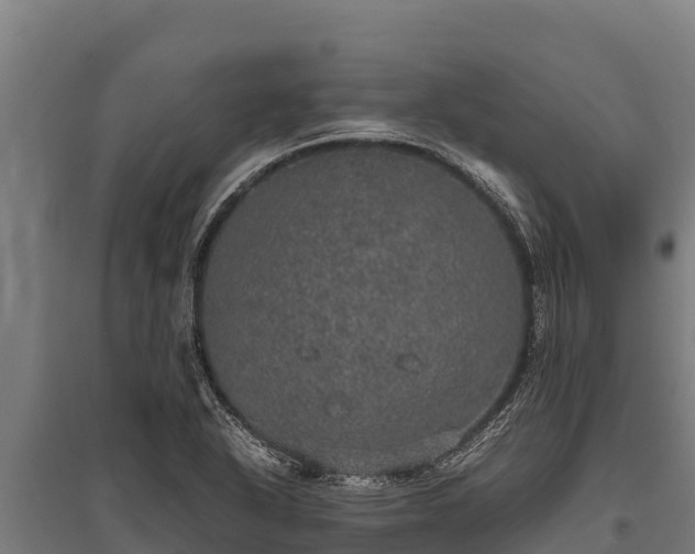 X0000095951318200801181414