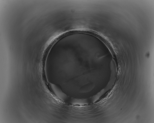 X0000095951319200801181414