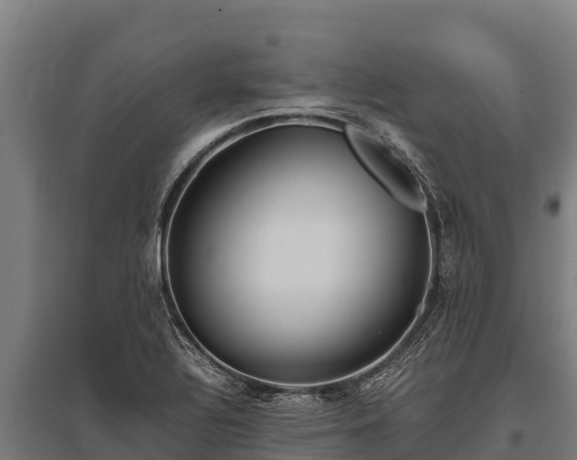 X0000095951320200801181414