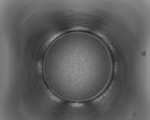 X0000095951321200801181414