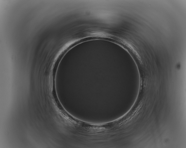 X0000095951323200801181414