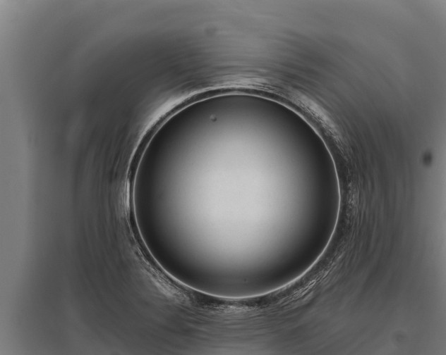 X0000095951324200801181414