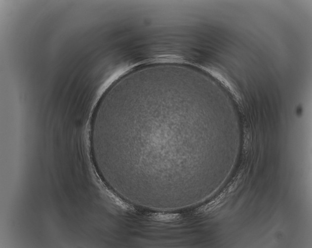 X0000095951325200801181414