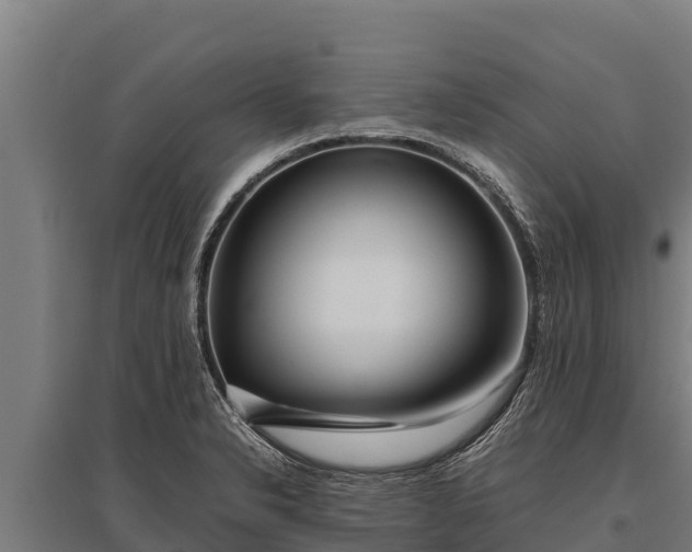 X0000095951326200801181414