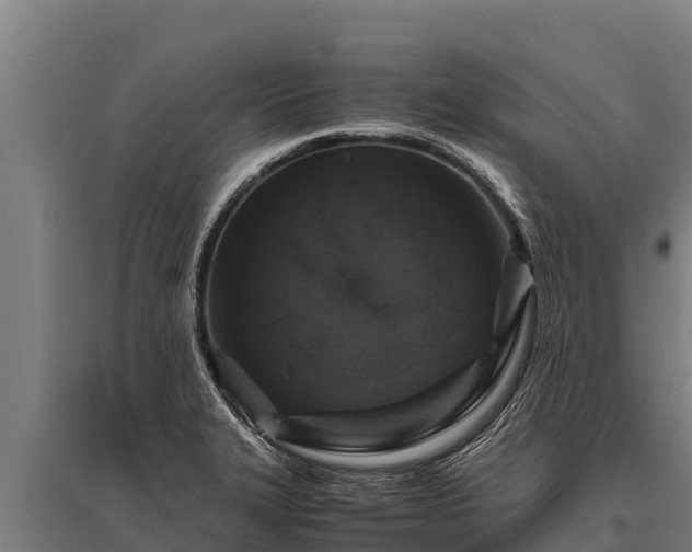 X0000095951327200801181414