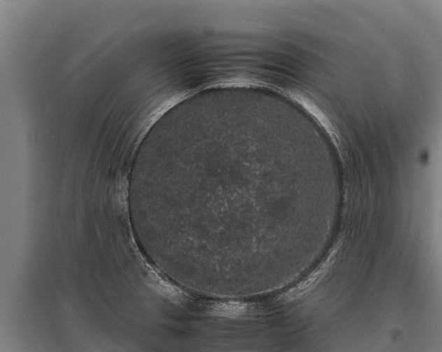 X0000095951329200801181414