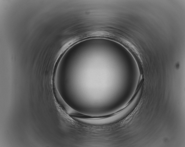 X0000095951330200801181414