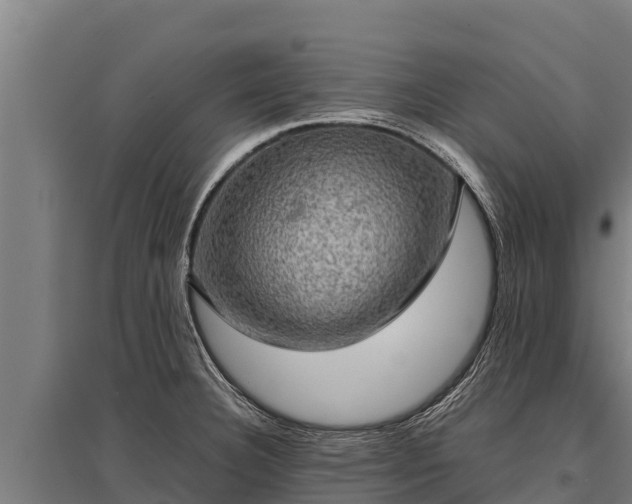 X0000095951332200801181414