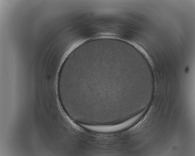 X0000095951333200801181414