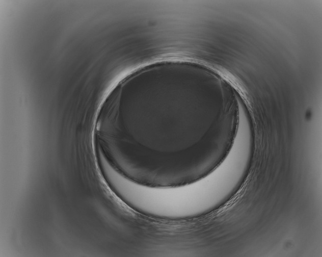 X0000095951334200801181414