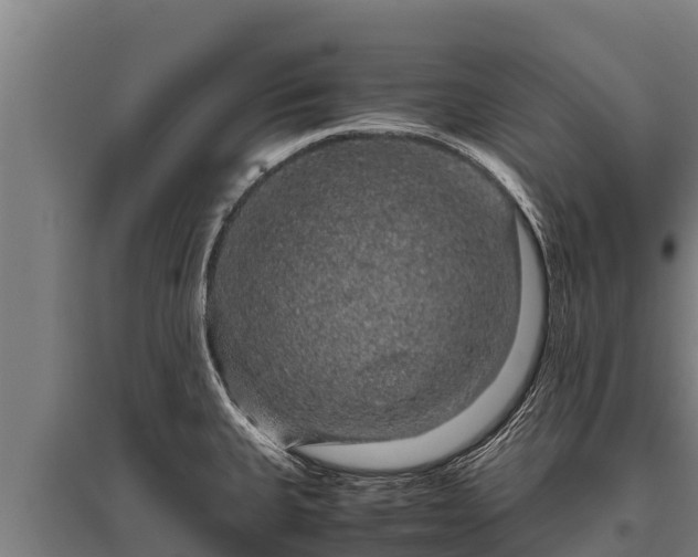 X0000095951335200801181414