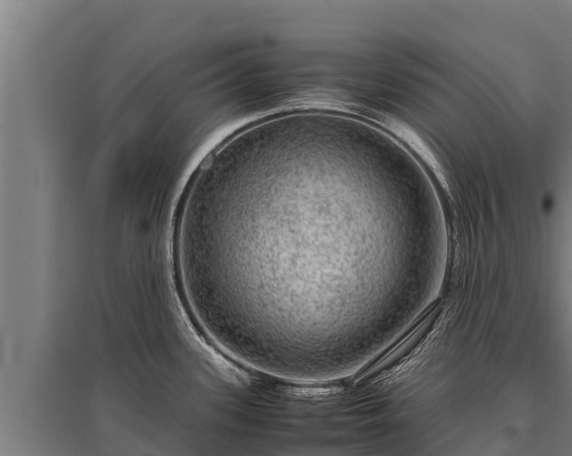 X0000095951339200801181414