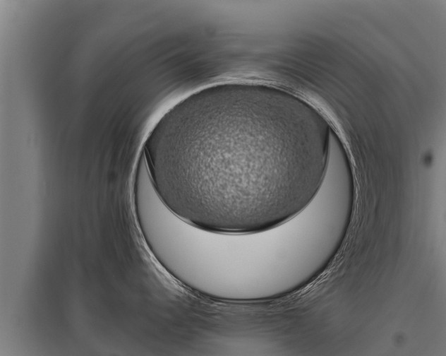 X0000095951344200801181414