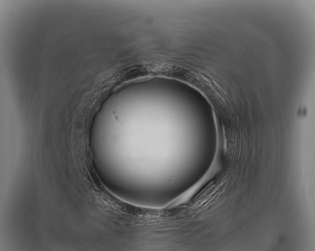 X0000095951345200801181413