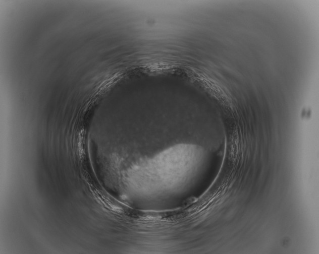 X0000095951346200801181413