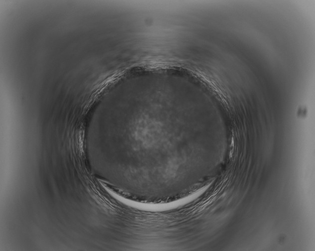 X0000095951348200801181413