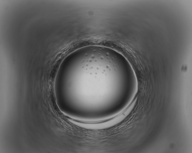 X0000095951349200801181413