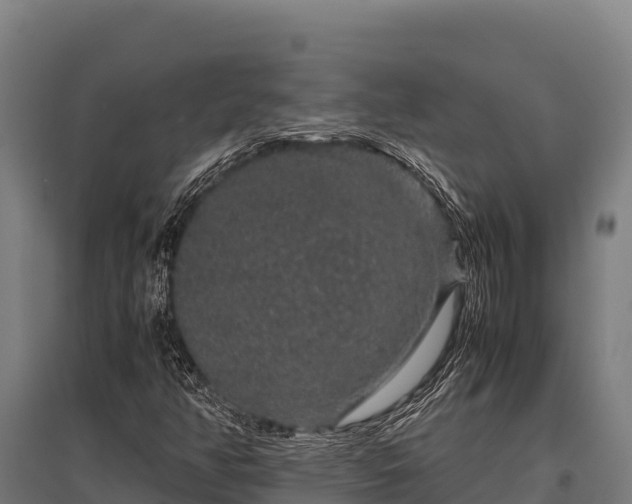 X0000095951350200801181413