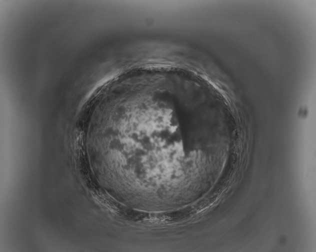 X0000095951351200801181413