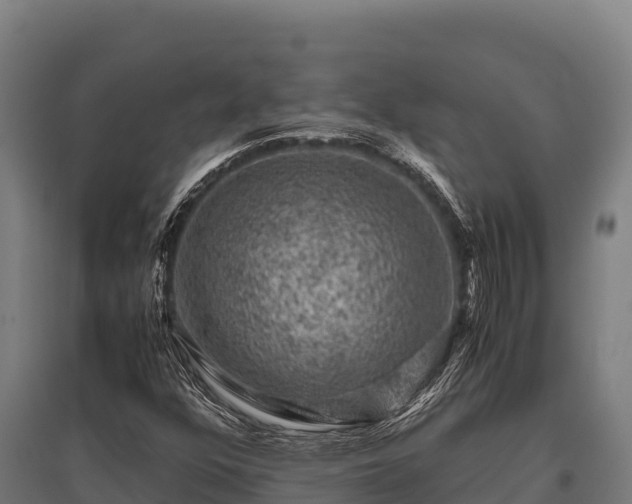 X0000095951352200801181413