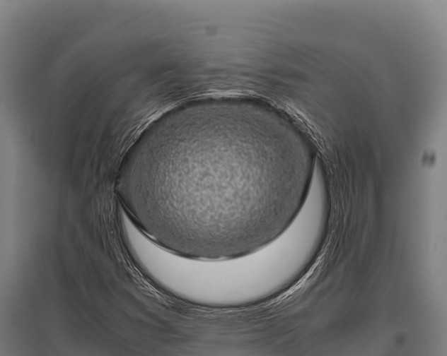 X0000095951353200801181413