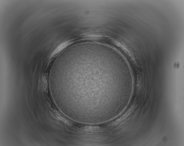 X0000095951354200801181413