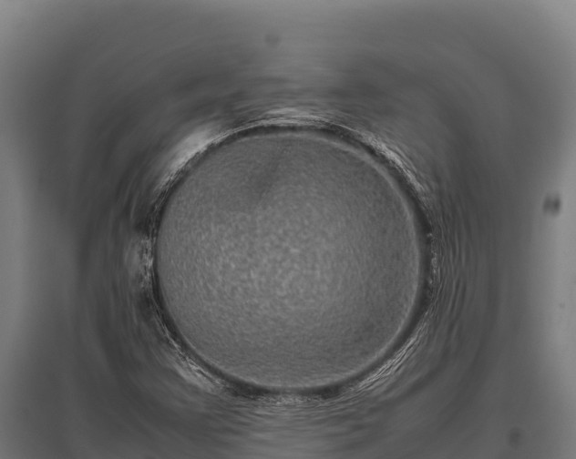 X0000095951355200801181413