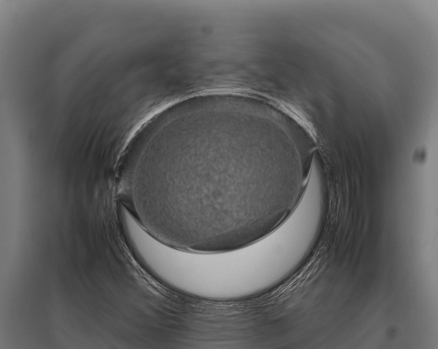 X0000095951356200801181413