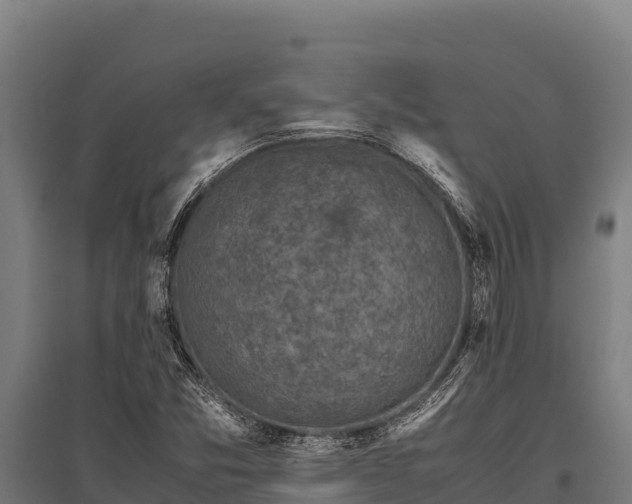 X0000095951357200801181413