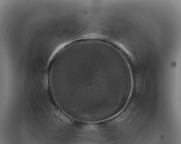 X0000095951358200801181413