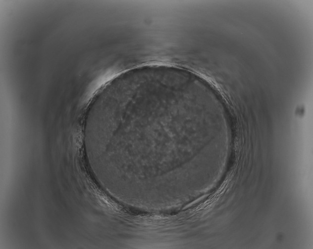 X0000095951359200801181413